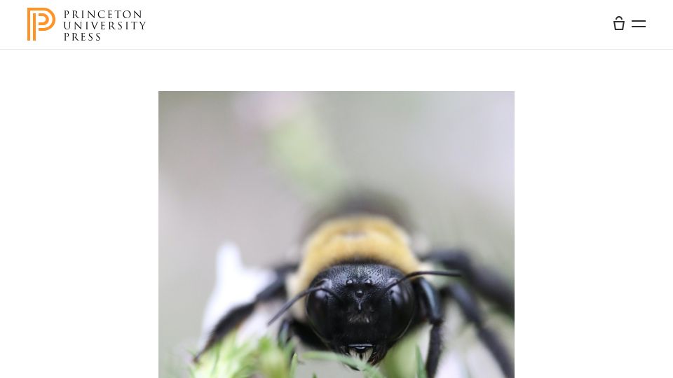 Screenshot of press.princeton.edu: What It's Like to Be a Bee