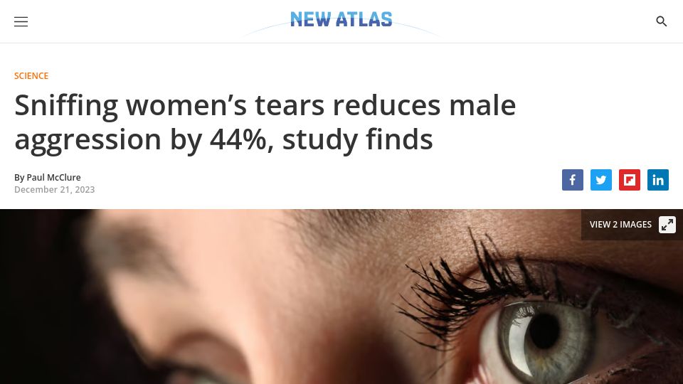 Screenshot of newatlas.com: Sniffing women's tears reduces male aggression by 44%, study finds