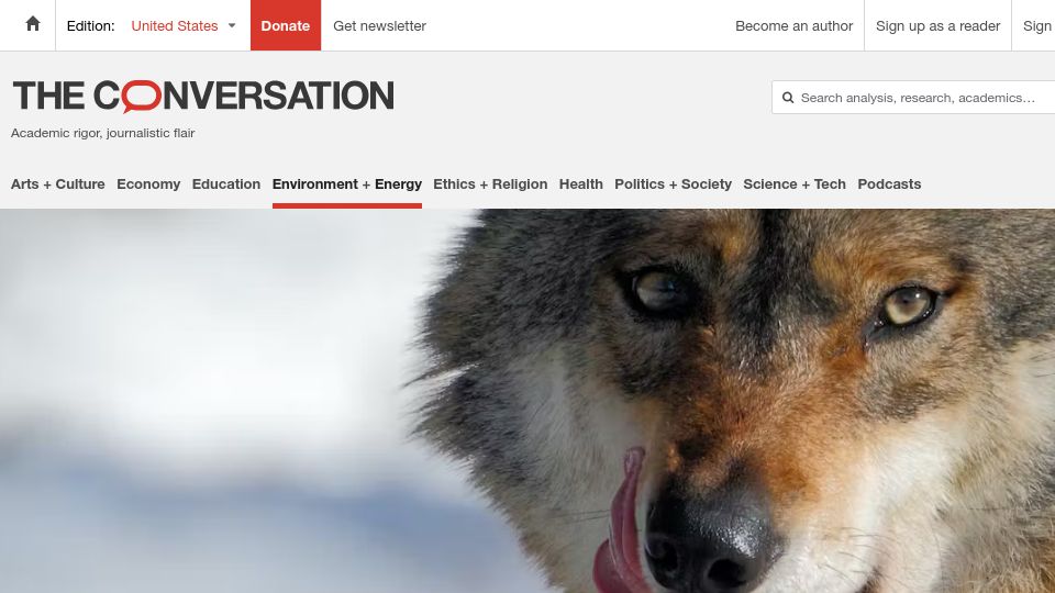 Screenshot of theconversation.com: Europe has a wolf problem, and a late Norwegian philosopher had the solution