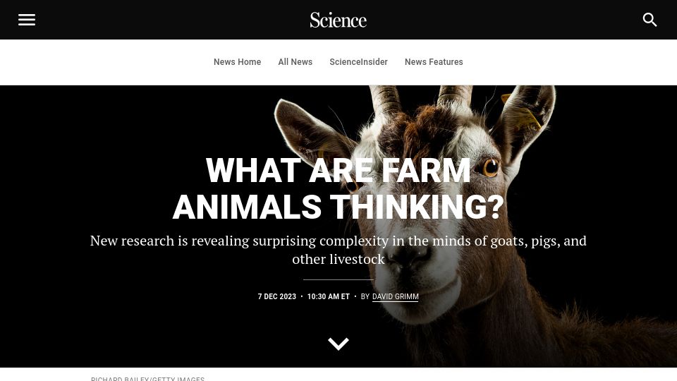 Screenshot of science.org: What are farm animals thinking?