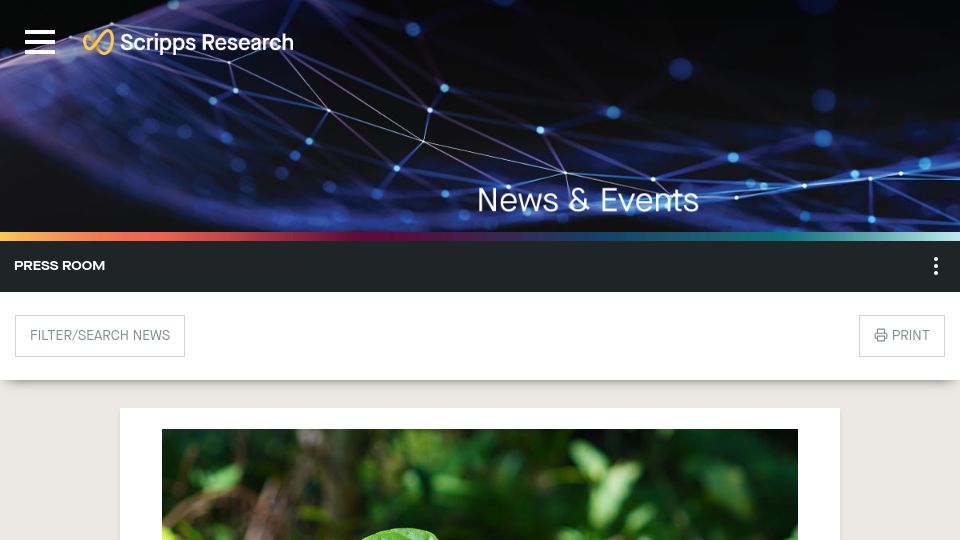 Screenshot of scripps.edu: Taming a Plant-Derived Toxin