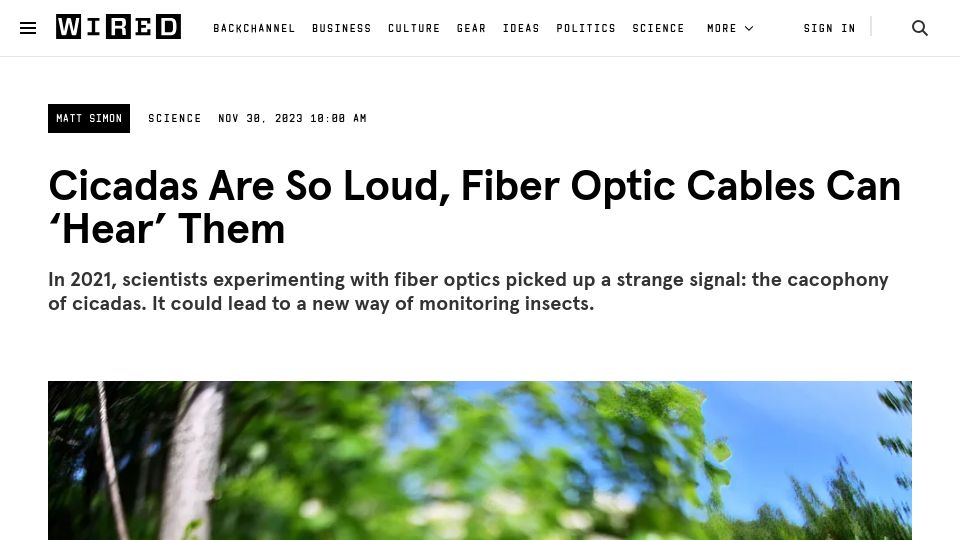 Screenshot of wired.com: Cicadas are so loud, fiber optic cables can ‘hear’ them
