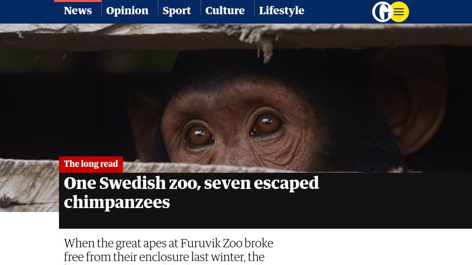 Screenshot of theguardian.com: Seven escaped chimpanzees