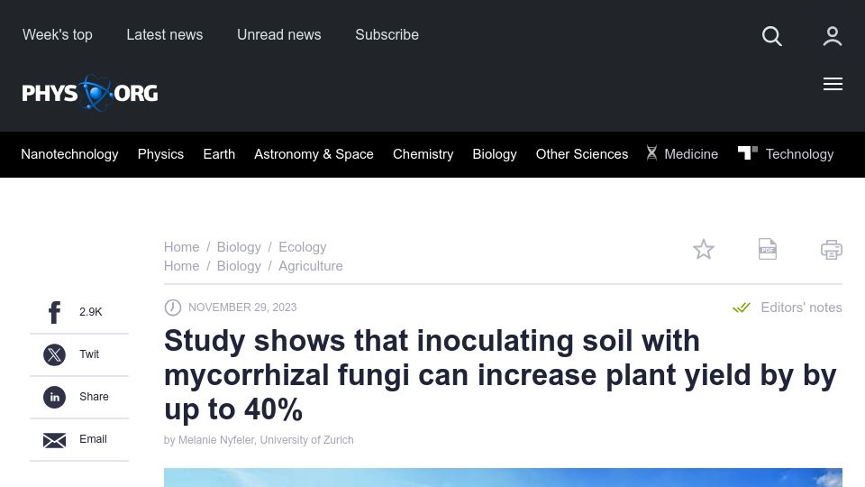 Screenshot of phys.org: Inoculating soil with mycorrhizal fungi can increase plant yield: study