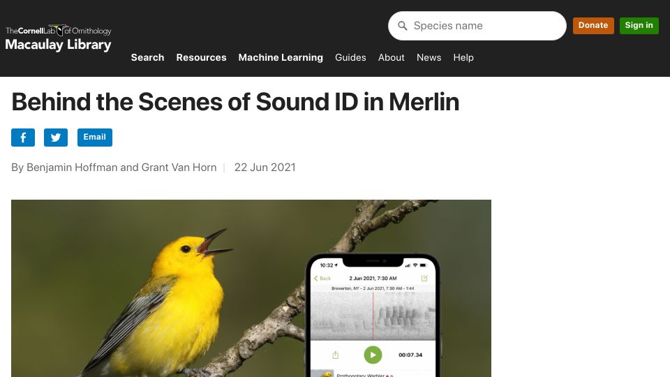 Screenshot of macaulaylibrary.org: Behind the scenes of Sound ID in Merlin – Identify birds using your phone (2021)