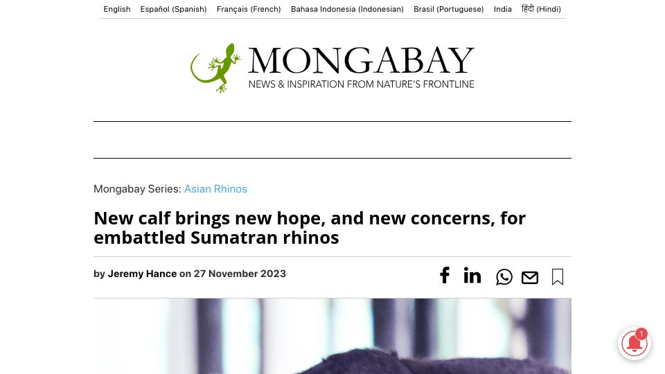 Screenshot of news.mongabay.com: New calf brings new hope, and new concerns, for embattled Sumatran rhinos