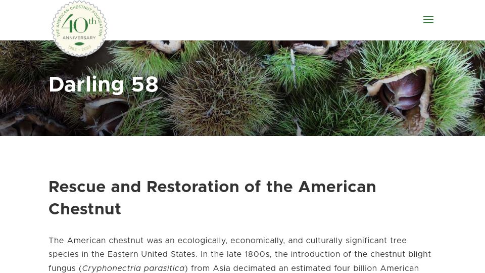 Screenshot of tacf.org: American Chestnut Foundation Ceasing Distribution of Blight-Resistant Seeds
