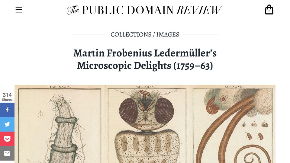 Screenshot of publicdomainreview.org: Martin Frobenius Ledermüller’s Microscopic Delights (1759–63)