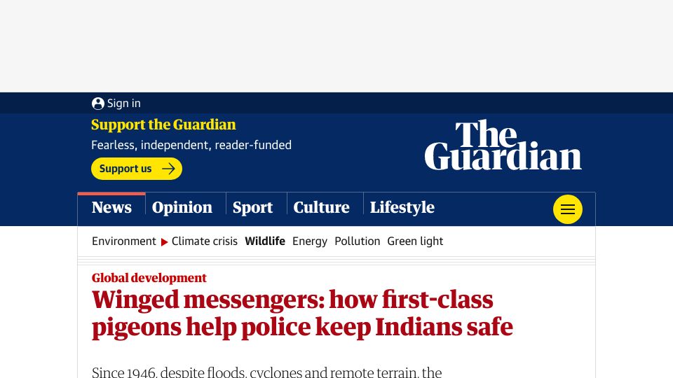 Screenshot of theguardian.com: Carrier pigeons used by police in the Indian state of Odisha