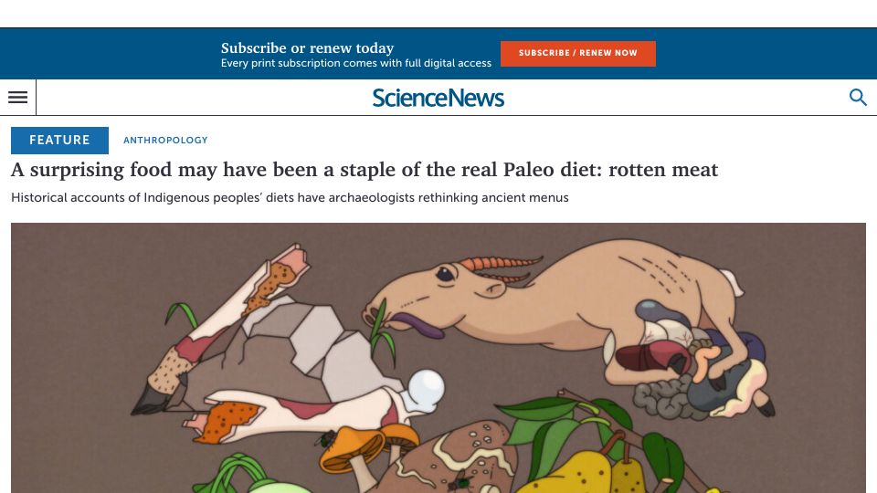 Screenshot of sciencenews.org: Rotten meat may have been a staple of Stone Age diets
