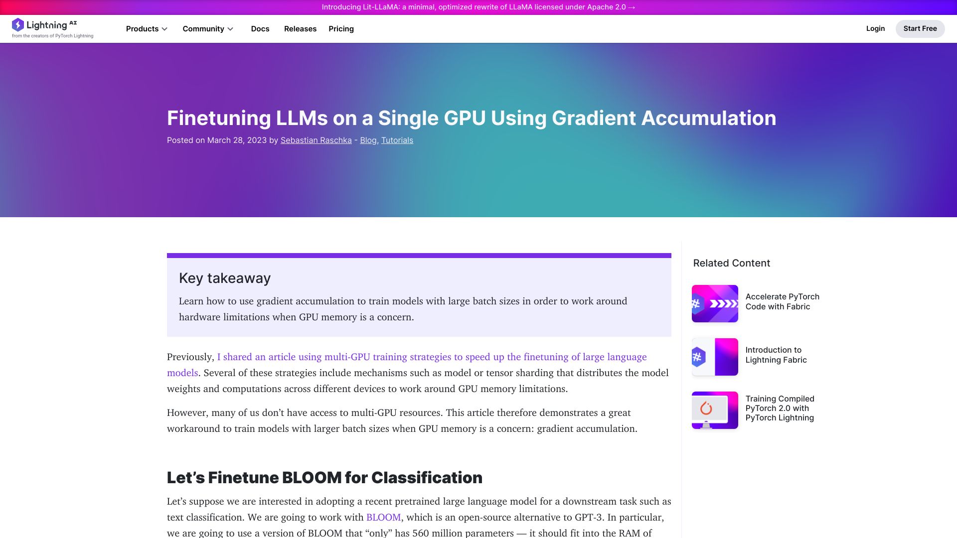 Screenshot of lightning.ai: Finetuning LLMs on a Single GPU Using Gradient Accumulation