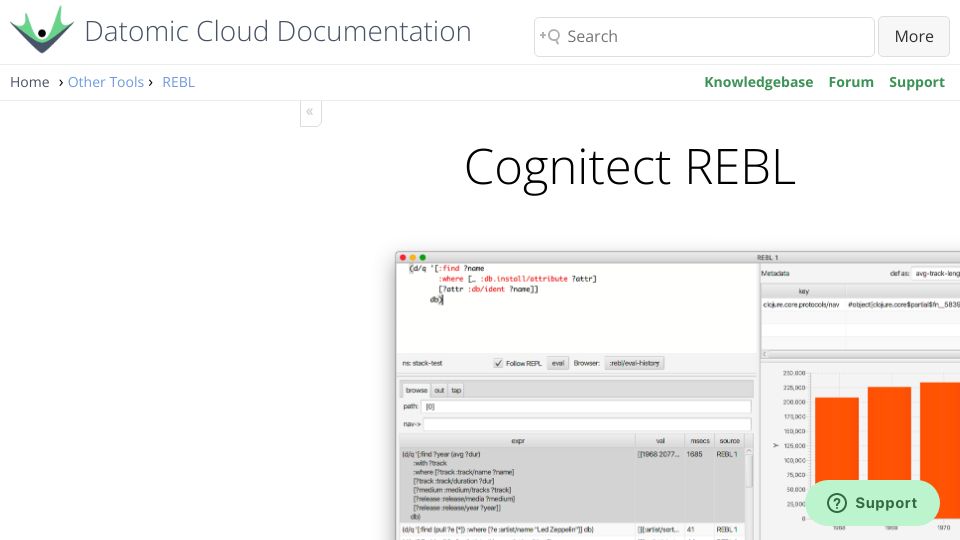 Screenshot of docs.datomic.com: REBL