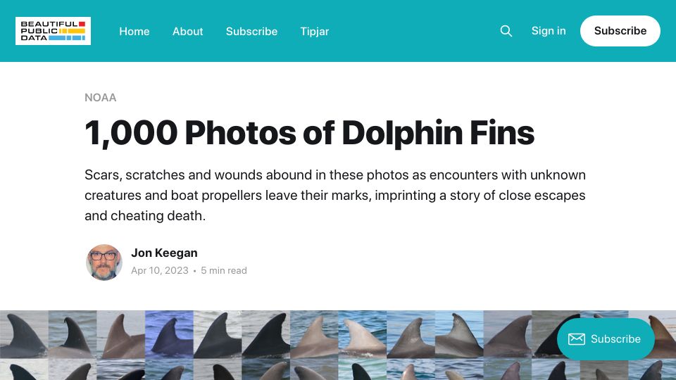 Screenshot of beautifulpublicdata.com: 1k Photos of Dolphin Fins