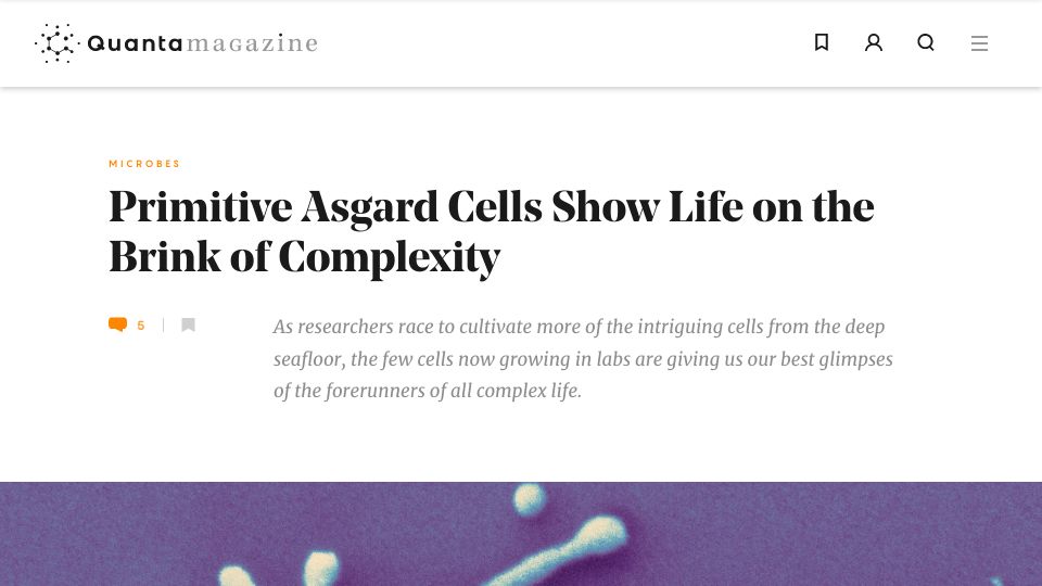 Screenshot of quantamagazine.org: Primitive Asgard cells show life on the brink of complexity