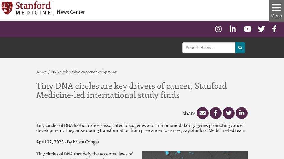 Screenshot of med.stanford.edu: Tiny DNA circles are key drivers of cancer, study finds