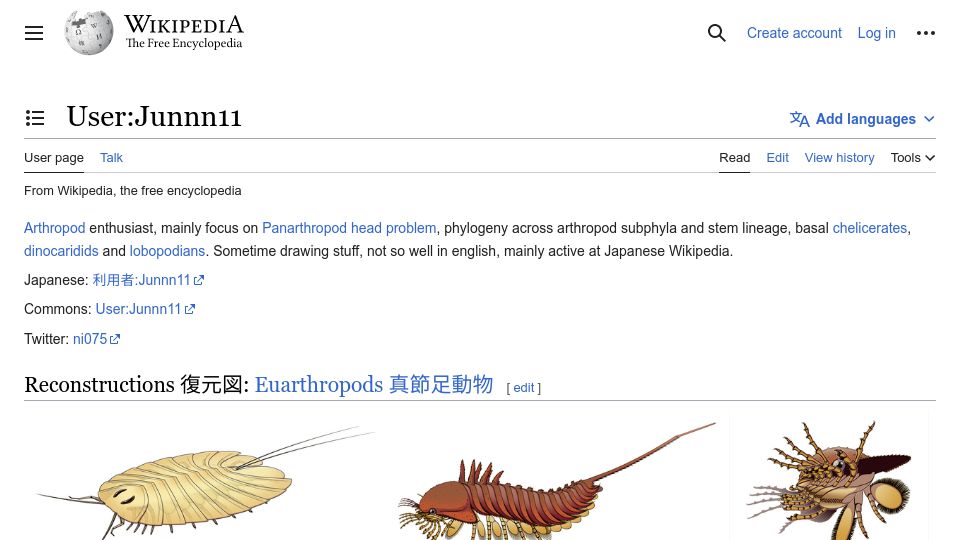 Screenshot of en.wikipedia.org: User: Junnn11