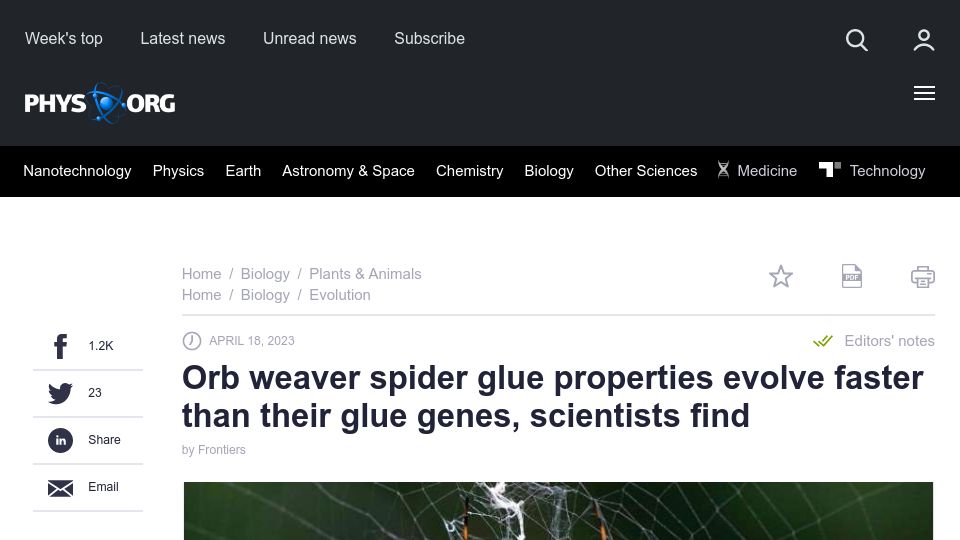 Screenshot of phys.org: Orb weaver spider glue properties evolve faster than their glue genes