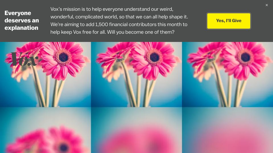 Screenshot of vox.com: What it's like to go blind (2015)