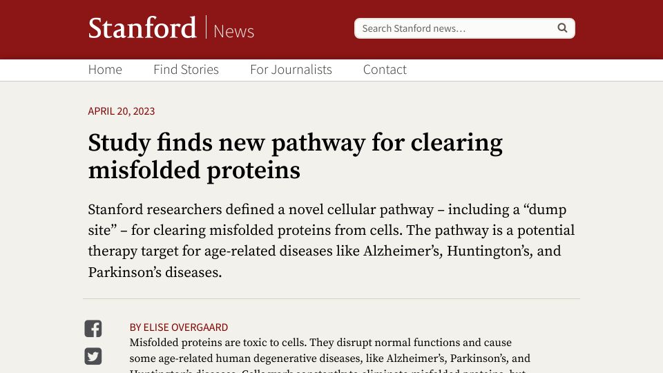Screenshot of news.stanford.edu: Study finds new pathway for clearing misfolded proteins