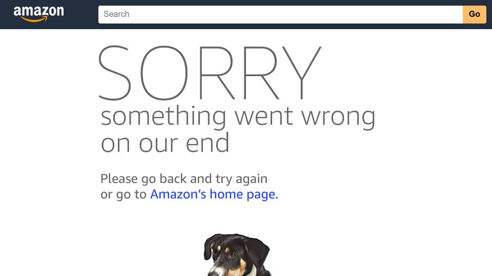 Screenshot of amazon.com: Tom Lesley has published 40 books in 2023, all with 100% positive reviews