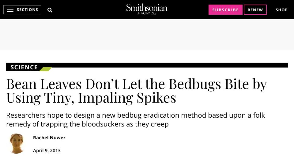 Screenshot of smithsonianmag.com: Bean leaves don’t let the bedbugs bite by using tiny, impaling spikes (2013)