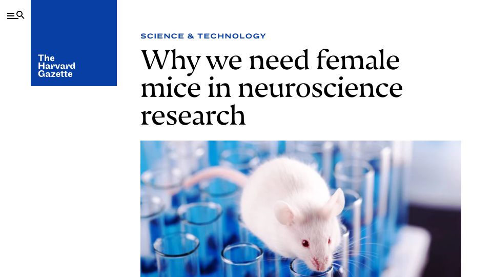 Screenshot of news.harvard.edu: We need female mice in neuroscience research