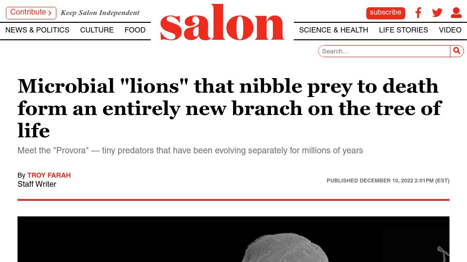 Screenshot of salon.com: Provora: tiny predators that have been evolving separately for millions of years
