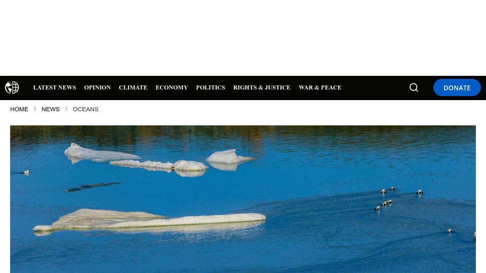 Screenshot of commondreams.org: Ocean Warming Study So Distressing, Some Scientists Didn't Want to Talk About It