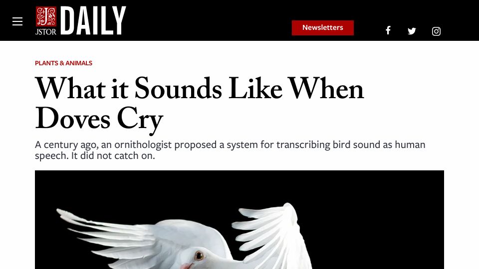 Screenshot of daily.jstor.org: Transcribing bird sound as human speech