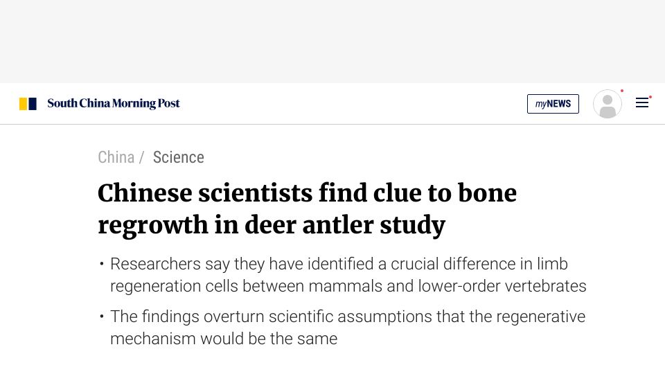 Screenshot of scmp.com: Deer don't regrow antlers the way lower animals regrow limbs