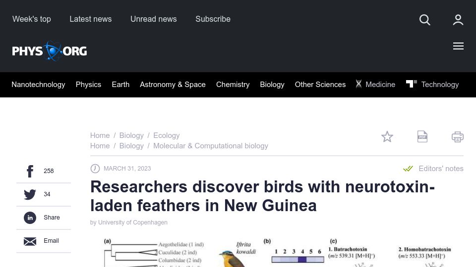Screenshot of phys.org: Birds with neurotoxin-laden feathers discovered in New Guinea