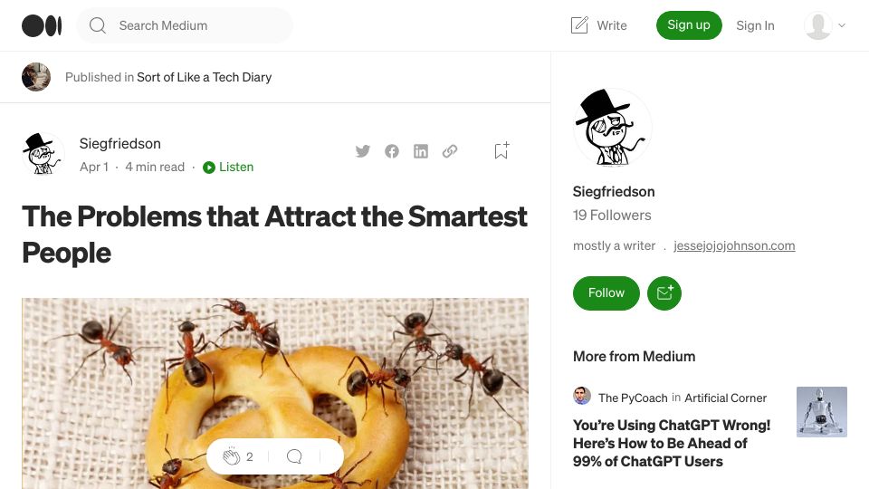 Screenshot of medium.com: The Problems That Attract the Smartest People