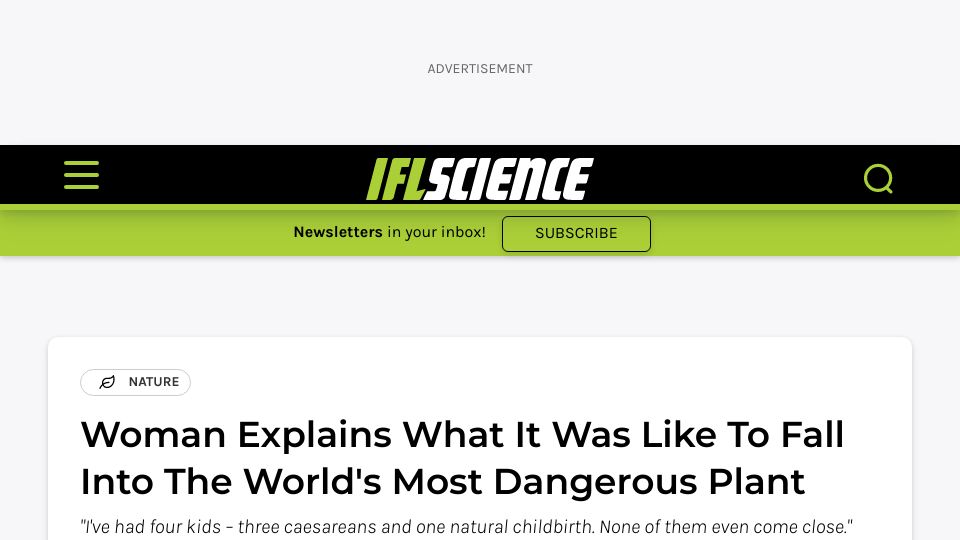 Screenshot of iflscience.com: What it’s like to fall into the deadly Australian plant, gympie-gympie