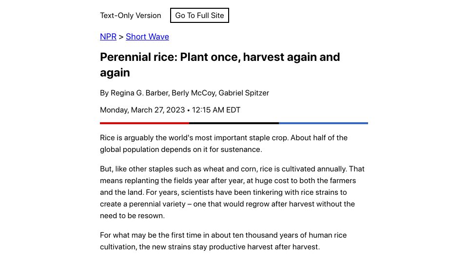 Screenshot of npr.org: Perennial rice: Plant once, harvest again and again