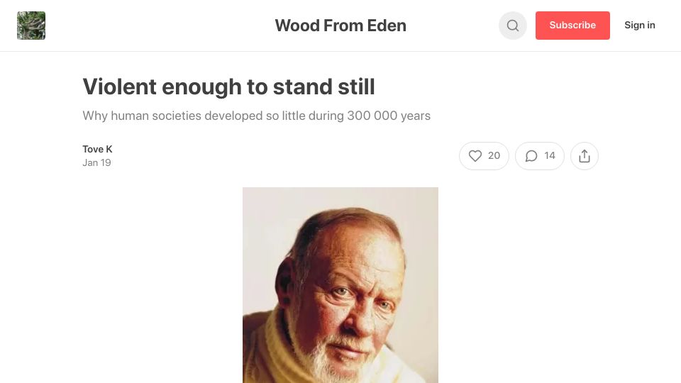 Screenshot of woodfromeden.substack.com: Why human societies developed so little during 300k years