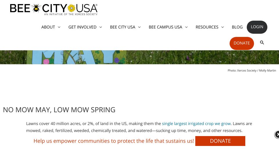Screenshot of beecityusa.org: No Mow May, Low Mow Spring