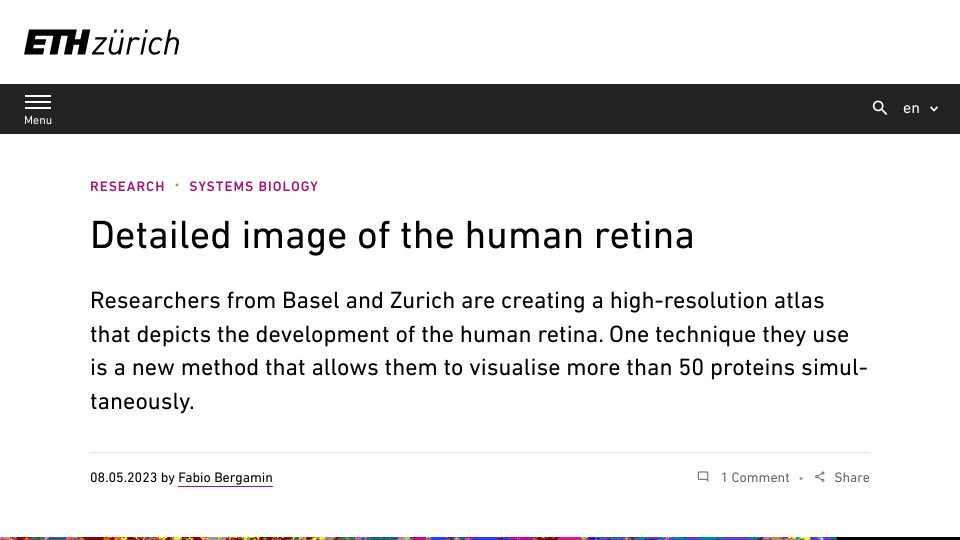 Screenshot of ethz.ch: Detailed Image of the Human Retina