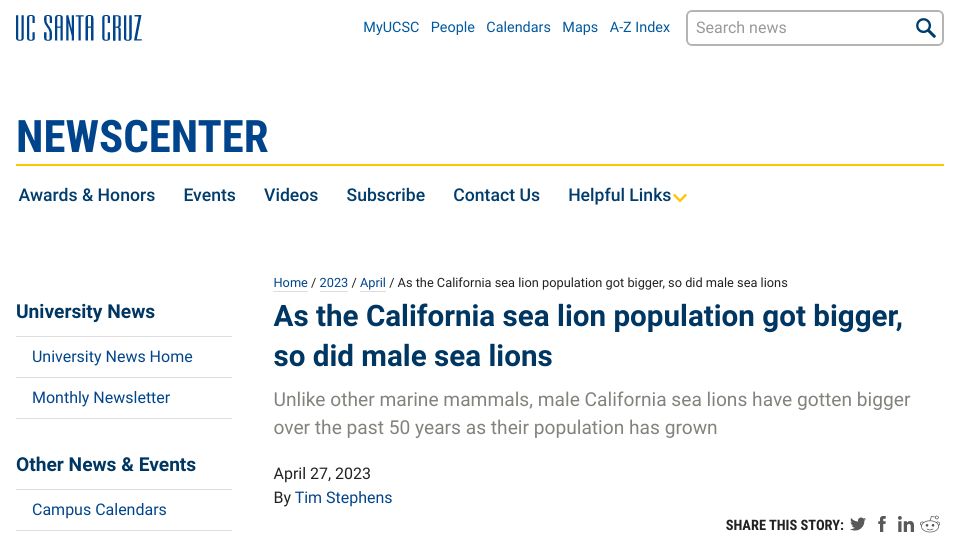 Screenshot of news.ucsc.edu: As the California sea lion population got bigger, so did male sea lions
