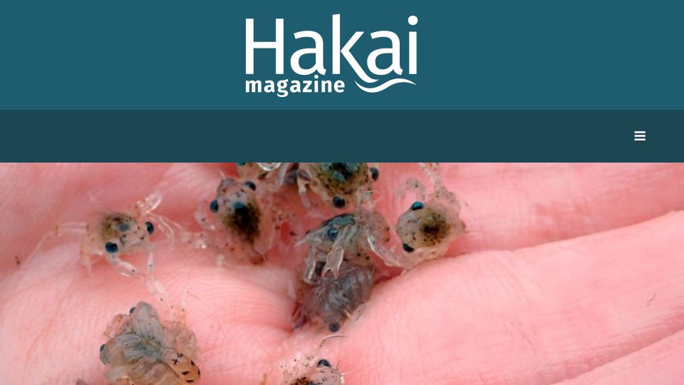 Screenshot of hakaimagazine.com: Shining the Light on Baby Crabs