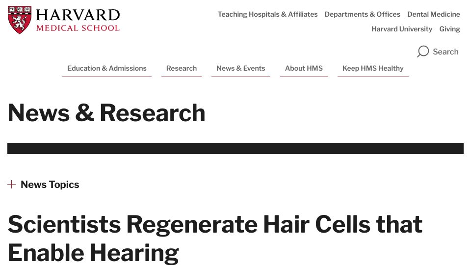 Screenshot of hms.harvard.edu: Scientists regenerate hair cells that enable hearing