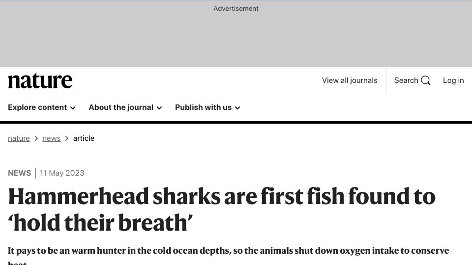 Screenshot of nature.com: Hammerhead sharks are first fish found to ‘hold their breath’