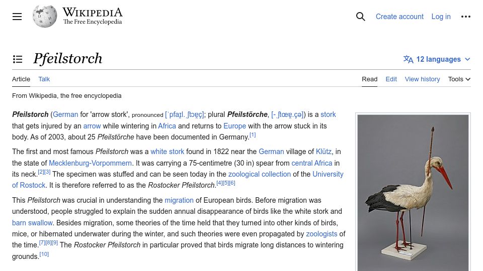 Screenshot of en.wikipedia.org: Pfeilstorch