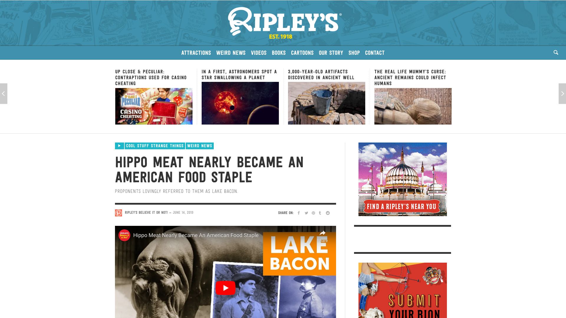 Screenshot of ripleys.com: Hippo Meat Nearly Became an American Food Staple