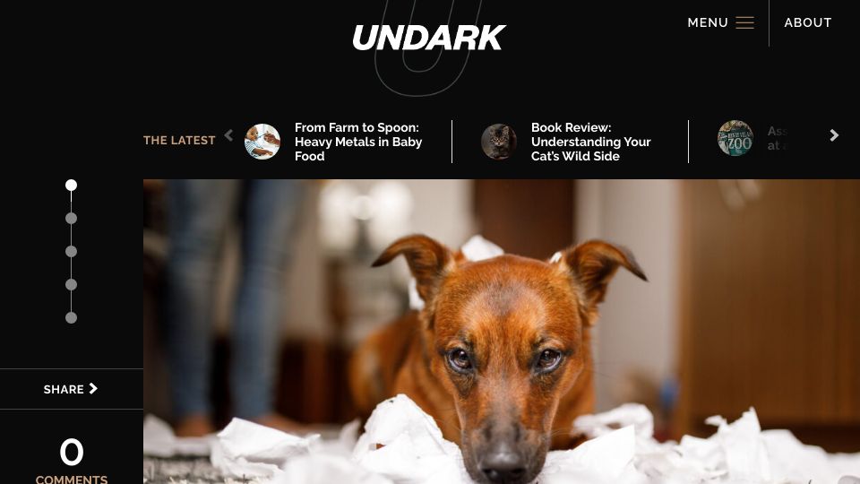 Screenshot of undark.org: Anxious dogs, like anxious people, need help managing and reducing distress