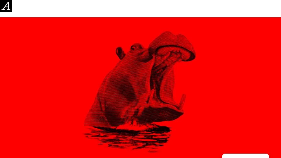 Screenshot of magazine.atavist.com: American Hippopotamus