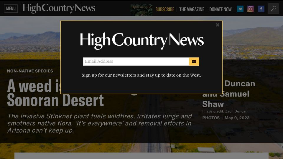 Screenshot of hcn.org: A weed is swallowing the Sonoran Desert