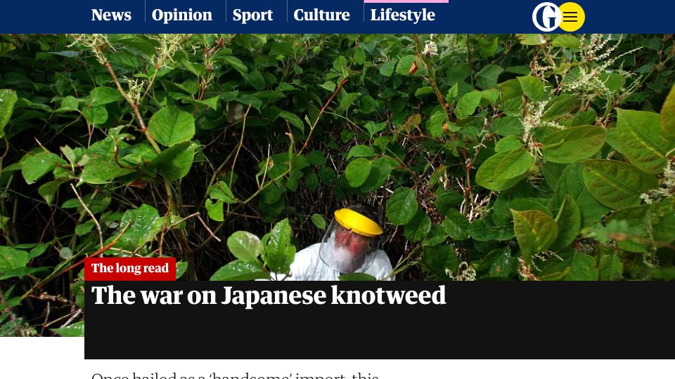 Screenshot of theguardian.com: The war on Japanese knotweed