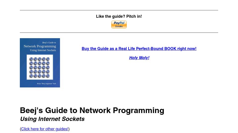 Screenshot of beej.us: Beej's Guide to Network Programming