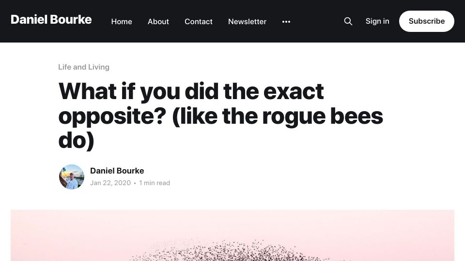 Screenshot of mrdbourke.com: What if you did the exact opposite, like rogue bees do (2020)