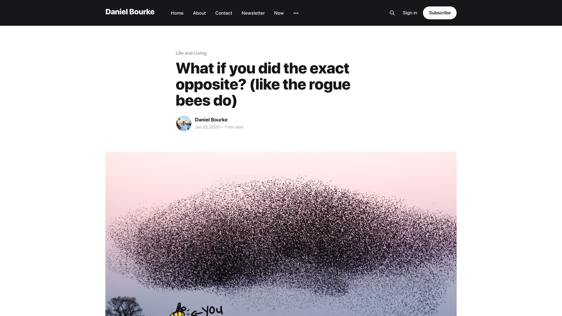 Screenshot of mrdbourke.com: What if you did the exact opposite, like rogue bees do (2020)